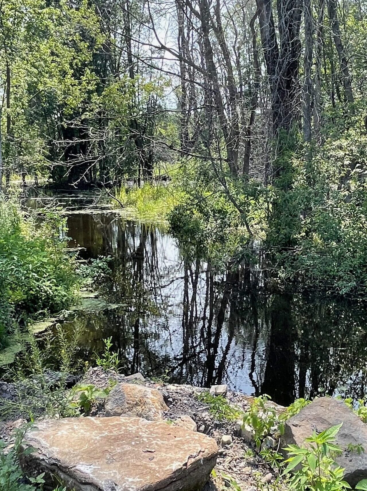 Creek